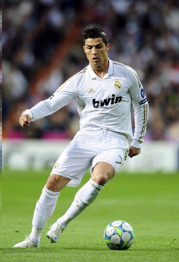 坛的影响 坛的影响