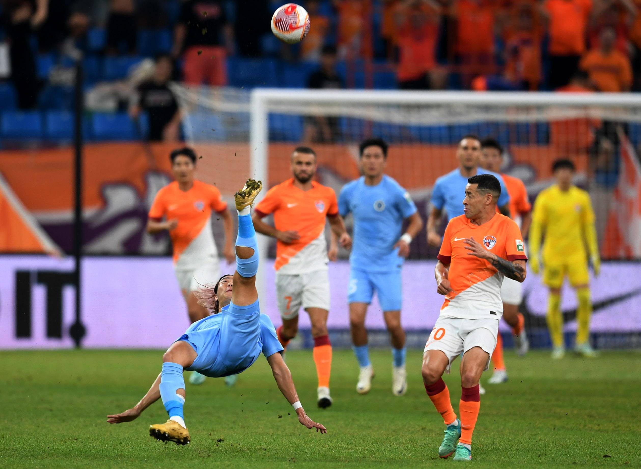 反映了公牛 反映了公牛