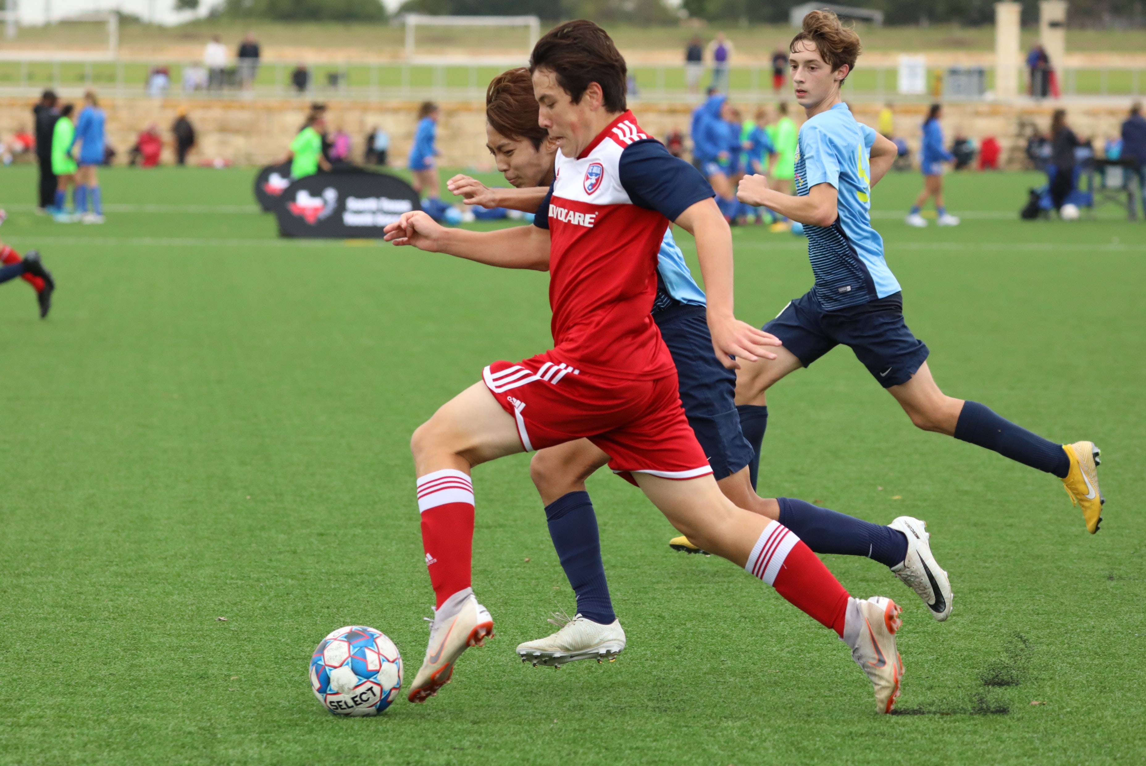 在强压之下 在强压之下